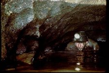 Backwash Sump, B King.jpg