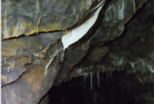 threadi.gif