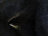 Fallen Bear Entrance Shaft.JPG