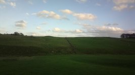 2017-10-16-1455.jpg