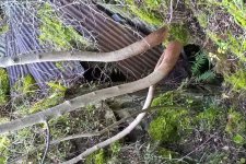 WP_20171024_16_46_34_Pro.jpg