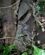 WP_20171216_16_12_07_Pro.jpg