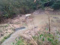 Flooded depression 1.jpg
