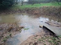 Flooded depression 2.jpg