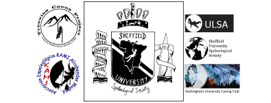 tresviso banner.png
