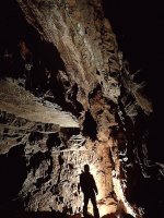 Tom Midnight Chamber 1024.jpg
