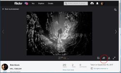 flickr1.JPG