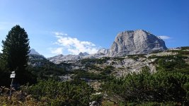 landscape.jpg