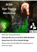 BCRA Dye Tracing 080619.jpg