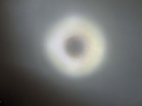 DSCF4624a.jpg