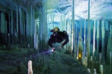 AAA Crystal Palace  1227 M Farr.jpg
