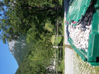 20190708_105557.jpg