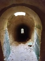 DSC_8026a.jpg