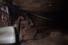 Snelslow 9-11-19 (5).JPG