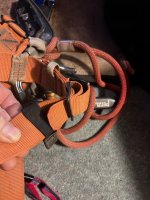 IMG_5803.jpeg