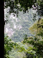 P1146487.jpg