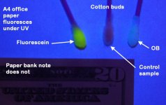 CottonBuds.jpg