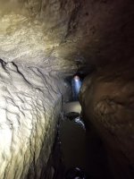 IMG_20231202_115218_Original.jpeg