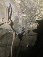 IMG_1342.jpeg