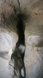 image3.jpg