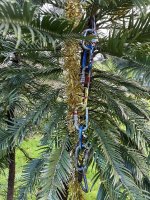 IMG_8235.jpeg