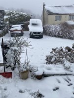 IMG_3186.jpeg