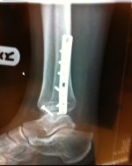 IMG_2112.jpeg