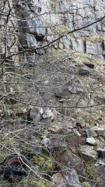 IMG_2925.jpeg