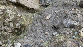 IMG_2922.jpeg