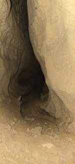 20250308_205814.jpg