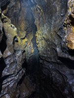 IMG_7830.jpeg