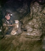 DS151113195355 web.jpg