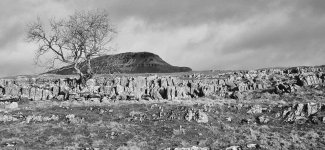 20260101_140157_Pen-y-ghent (bw).jpg