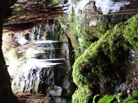 P1090322.JPG P1090322.JPG