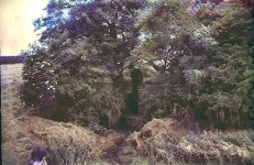 SWI0001.jpg