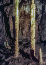 Colonnades.png