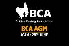 BCA AGM.png