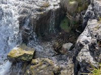 IMG_2419.jpeg