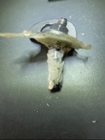 IMG_5094.jpeg