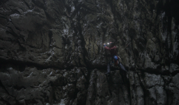 Steve climbing.png