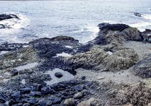 DS151023085144.jpg