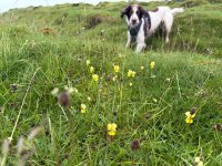 IMG_1278.jpeg