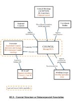 BCA existing organisation chart as Unincorporated Association.jpg