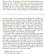 Screen Shot 2020-03-24 at 13.11.55.png