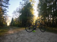 38EF6052-C403-4DDD-9F04-8ED4D9C96C8A.jpeg