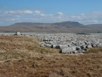 Penyghent_from_nearNickPot.JPG