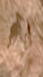 Screenshot_20200729-171515_Gallery.jpg