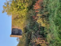 20201001_181228.jpg