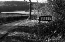 Image 1 1.jpg