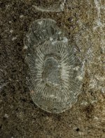 PXL_20201206_132235597.jpg